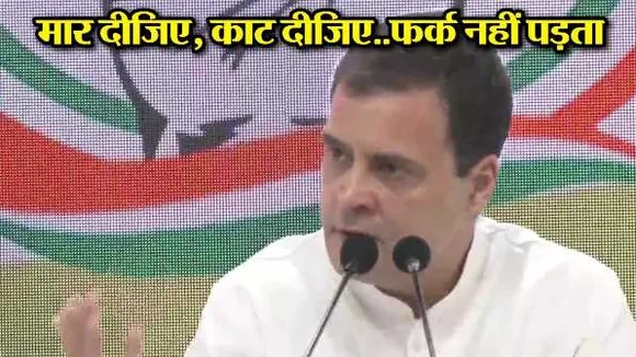राहुल की PC: बोले- पहले भारत में लोकतंत्र हुआ करता था, अब तानाशाही है
