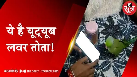 यूट्यूबर मिट्ठू: खुद यूट्यूब खोल लेता है, इस तरह के VIDEO देखना है पसंद