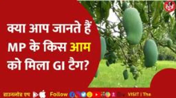 भोपाल में चल रहा मैंगो फेस्वटिवल, डायबिटिक पेशेंट के लिए आया ये खास आम