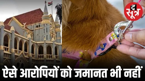 भोपाल में कुत्ते का पट्टा पहनाकर युवक को पीटने वाले 2 आरोपियों को जमानत नहीं, हाईकोर्ट में सुनवाई के बाद याचिका खारिज