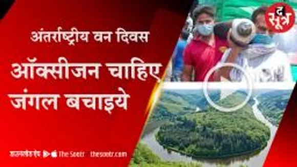 जंगल है तो कल है, कोरोना ने समझाई ऑक्सीजन की कीमत  