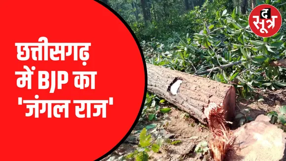 कोयला उत्खनन के लिए हो रही कटाई