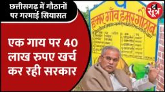 Cgnews | CG में गायों के लिए 10240 गौठान, 5 साल में 1300 करोड़ से ज्यादा खर्च फिर भी सड़कों पर घूम रहीं गाएं!