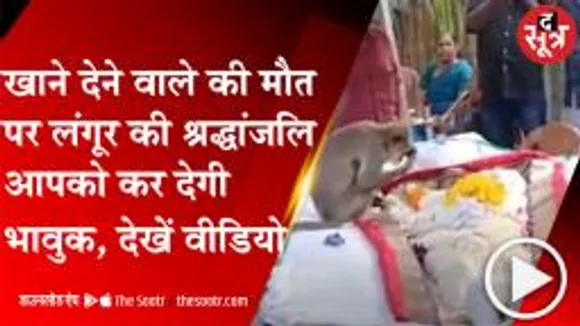  किस शख्स को लंगूर ने दी अंतिम विदाई, लोग हुए भावुक, देखें वीडियो 
