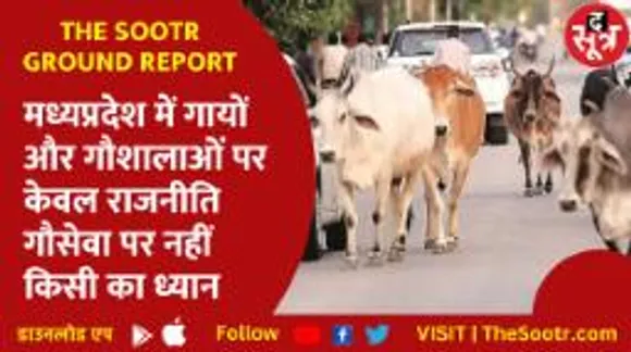 मध्यप्रदेश में गायों और गौशालाओं पर केवल राजनीति, गौसेवा पर नहीं किसी का ध्यान