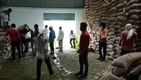 MP में मूंग घोटाला! 28 लाख का खराब मूंग खरीदकर किसानों के नाम पर चढ़ाकर फर्जीवाड़ा
