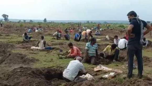 दमोह में 'दिव्य पत्थर': खेतों में मिल रहा चमकीला गोलाकार पत्थर, सैकड़ों लोग खुदाई में जुटे

