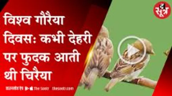  अब कम सुनाई देती चिरैया की चहक