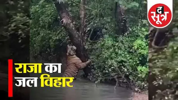 जयस में दो फाड़: विधायक अलावा और बाकि मेंबर्स के अपने अपने दावे, किसको मिलेगा फायदा