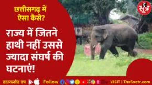 WildLife Institute की रिपोर्ट में बड़ा खुलासा