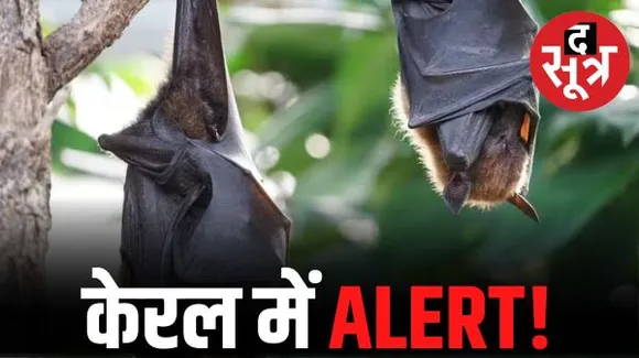 निपाह वायरस: केरल के कोझिकोड जिले फिर ‘लॉकडाउन’, मास्क पहनना अनिवार्य, कई क्षेत्रों में स्कूल-कालेज बंद, कर्नाटक में अलर्ट