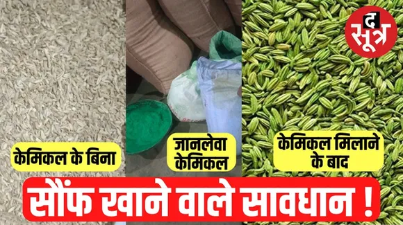 इंदौर में टाइल्स रंगने के ग्रीन ऑक्साइड से सौंफ को कर रहे थे हरा, गंदगी के बीच बना रहे थे सोनपपड़ी, राशन कालाबाजारी पर भी कार्रवाई