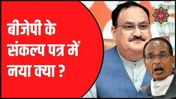 बीजेपी ने जारी किया अपना संकल्प पत्र