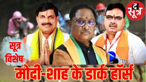 मोदी-शाह के डार्क हॉर्स की दौड़... जीते या हारे... देखिए इनका रिपोर्ट कार्ड