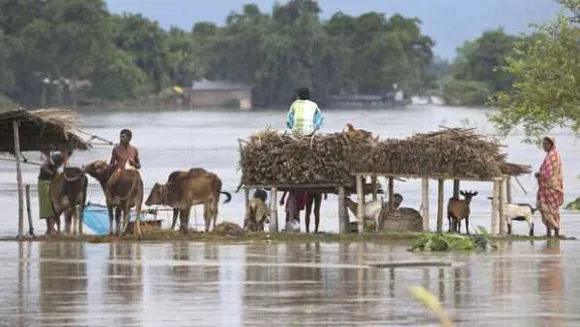 नुकसान की रिपोर्ट: बारिश से गुना के 1725 लोगों के घर क्षतिग्रस्त, दो लोग बाढ़ में बहे