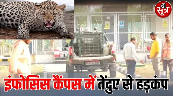 इंदौर के इंफोसिस कैंपस में घुसा तेंदुआ, मिले पगमार्क, ट्रेंकुलाइजर गन लेकर पहुंची वन विभाग की टीम, सर्चिंग जारी