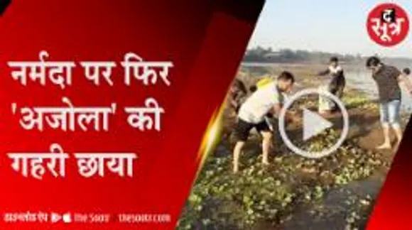 नर्मदा नदी में अजोला की छाया, श्रमदान से निकाला 8 ट्रॉली मलवा