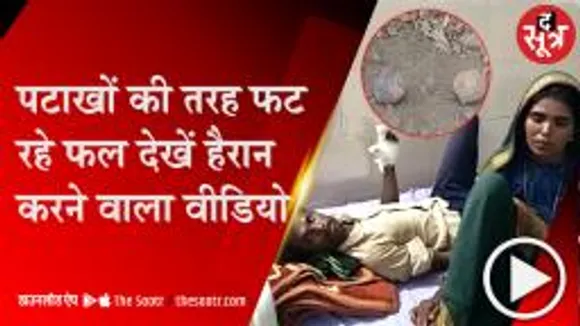बड़वानी: जमीन पर फल फेंकते ही ब्लास्ट, खेत में काम कर रहे किसान की उंगलियां उड़ी