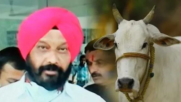 गाय प्रेमी मंत्री की अनोखी मांग: जिनकी सैलरी 25000 से ज्यादा उनसे हर महीने 500 रुपये ले सरकार