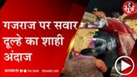 गुना: हाथी पर सवार होकर आया दूल्हा, राजसी ठाट-बाट से निकली बारात; उमड़ी भीड़!  