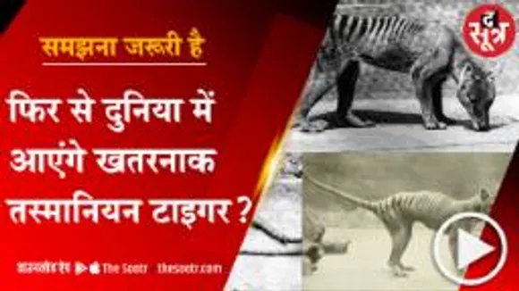 1936 में विलुप्त हुए तस्मानियन टाइगर को वैज्ञानिक देंगे नई जिंदगी 