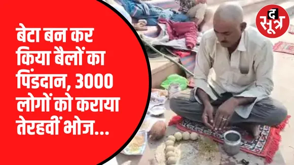 Mandsaur में दो किसानों ने किया अपने बैंलों का पिंडदान | तेरहवीं में 3000 लोगों को कराया भोज !
