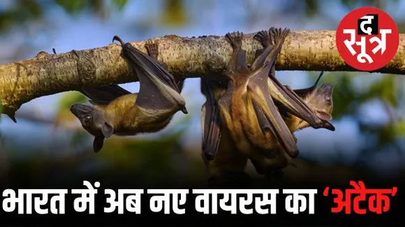 निपाह वायरस की भारत में बढ़ते मामलों ने बढ़ाई चिंता, केरल में अलर्ट जारी, अब तक दो लोगों की मौत, जानें कैसे होता है यह संक्रमण