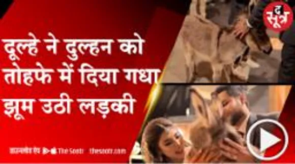 पाकिस्तान में दूल्हे ने दुल्हन को गिफ्ट किया 30 हजार का गधा, वजह जान चौंक जाएंगे आप