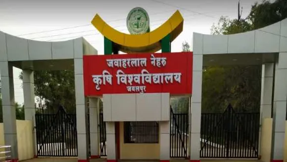 जबलपुर यूनिवर्सिटी: वैज्ञानिकों ने बनाया PSB कल्चर,  यूरिया और DAP की कमी को पूरा करेगा