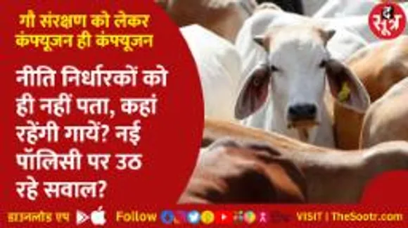 नीति निर्धारकों को ही नहीं पता, कहां रहेंगी गायें? नई पॉलिसी पर कंफ्यूजन!