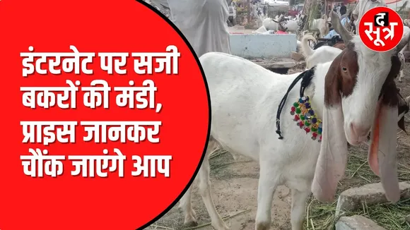 Eid Ul Adha  पर खरीदें Online बकरा, सजी बकरे की मंडी | Eid Ul Adha 2024
