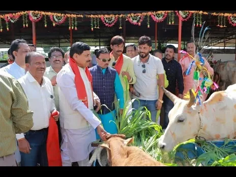 गो संरक्षण की मिसाल: गोवंश रक्षा वर्ष मना रही सरकार