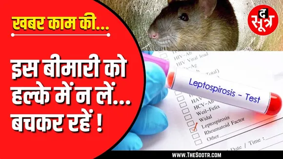 खबर काम की | चूहे कितने हो सकते हैं खतरनाक, इसे बिल्कुल न करें नजरअंदाज ?