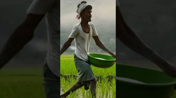 MP में किसान खुश | रानी दुर्गावती श्री अन्न स्कीम किसानों को मिल रहा लाभ
