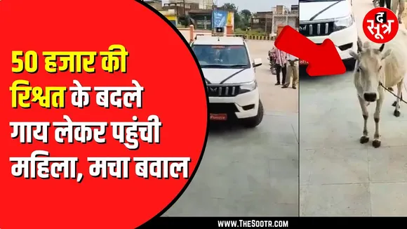 SDM कार्यालय के बाबू ने 50 हजार की मांगी रिश्वत ! गाय लेकर पहुंची महिला | MP NEWS