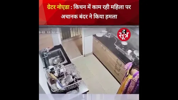 Greater Noida : किचन में काम कर रही महिला पर अचानक बंदर ने किया ह*मला #shorts