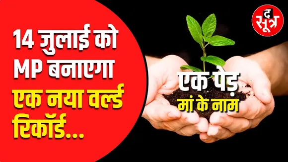 Indore में एक दिन में रोपे जाएंगे 11 लाख पौधे, गृहमंत्री Amit Shah बनेंगे इस पल के साक्षी