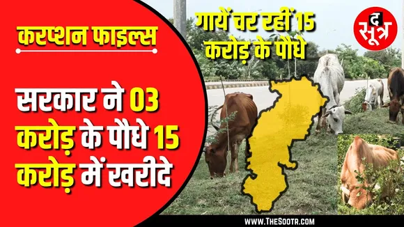 Chhattisgarh | बस्ती बसी नहीं कि लुटेरे आ गए, लगा भ्रष्टाचार का दीमक
