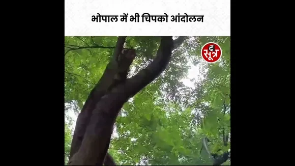 Bhopal में भी चिपको आंदोलन #viralvideo #shorts
