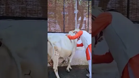 गो संरक्षण की मिसाल: किसानों को उपकरणों पर सब्सिडी