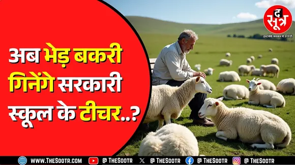 सरकारी स्कूल के टीचरों को अब भेड़ गिनने का काम | पढ़ाएंगे कब सरकार ? Rajasthan News