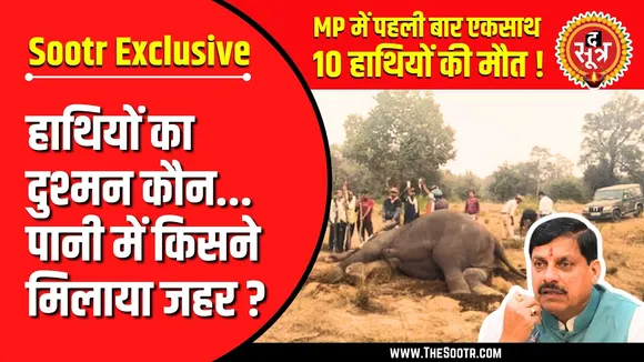 The Sootr Exclusive | सामने आई Bandhavgarh Tiger Reserve में 10 हाथियों की मौत की असली वजह !
