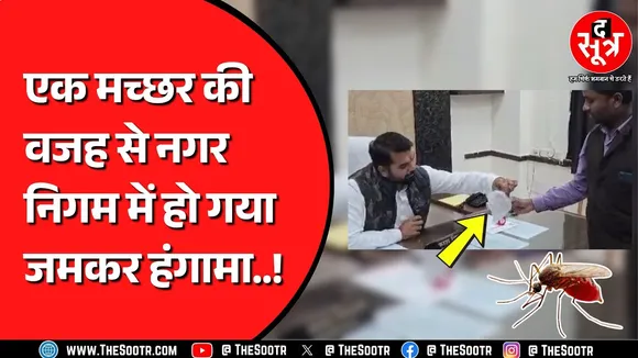 CG NEWS | रायपुर नगर निगम में डेंगू का मच्छर लेकर पहुंचा था शख्स, क्या है पूरा मामला ?