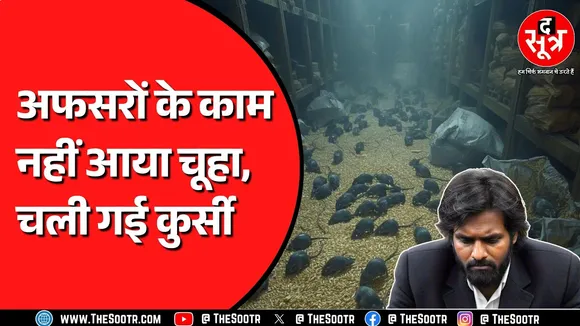 7 करोड़ की धान खा गए चूहे ! जवाब से संतुष्ट नहीं सरकार थमा दिया निलंबन ऑर्डर | CG NEWS