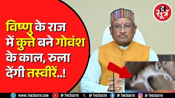 BJP सरकार का गौप्रेम सिर्फ ढोंग, खुल गई पोल; कुत्ते खुलेआम कर रहे गोवंश का शिकार | Chhattisgarh