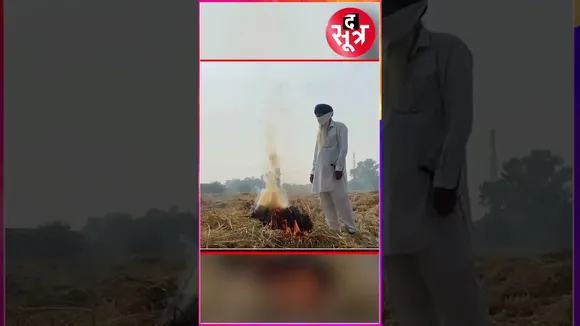 अब आपको भारी पड़ेगा पराली जलाना...