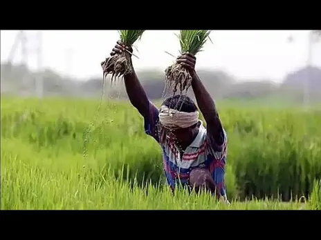 सशक्त किसान: खेती में जबरदस्त बूस्टअप, हर सेक्टर में आगे बढ़ रहा मध्यप्रदेश