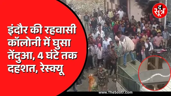 MP News | इंदौर में छत से तेंदुए ने अचानक लगाई छलांग, बेहोश कर वन विभाग की टीम ने किया रेस्क्यू