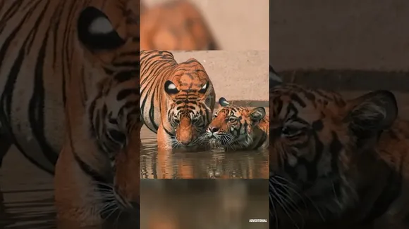 वन और वन्यजीवन: मुकुंदपुर सफारी को विश्व स्तरीय बनाने के प्रयास