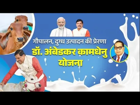 दुग्ध क्रांति: डॉ. अंबेडकर कामधेनु योजना दुग्ध उत्पादन बढ़ाने की ऐतिहासिक पहल